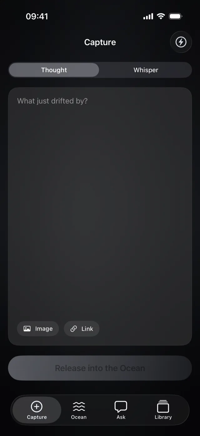 Oryne's capture screen, asking what just drifted by.